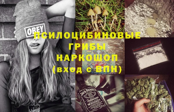 PSILOCYBIN Балабаново