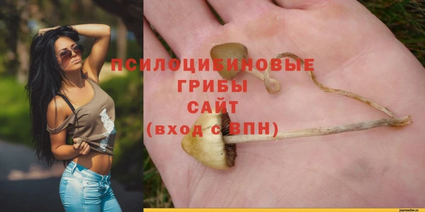 PSILOCYBIN Балабаново