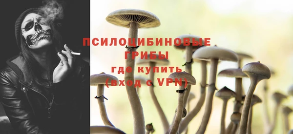PSILOCYBIN Балабаново