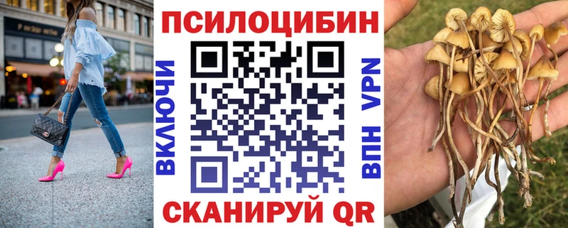 Галлюциногенные грибы MAGIC MUSHROOMS  цена наркотик  Гдов 